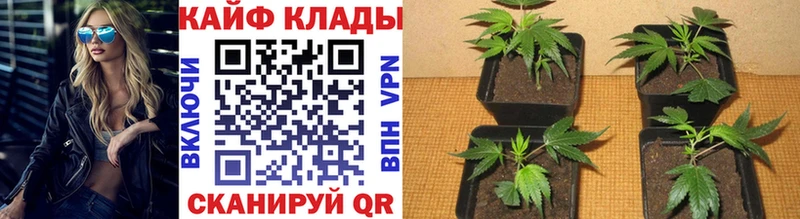 Хочу наркоту Электросталь МЕТАМФЕТАМИН Марихуана СК Меф мяу мяу ГАШИШ