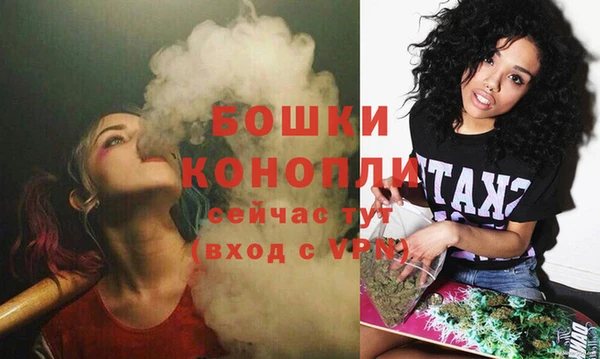 круглые Осинники
