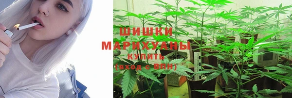 круглые Осинники