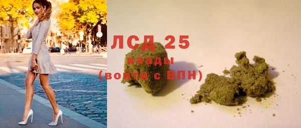 круглые Осинники