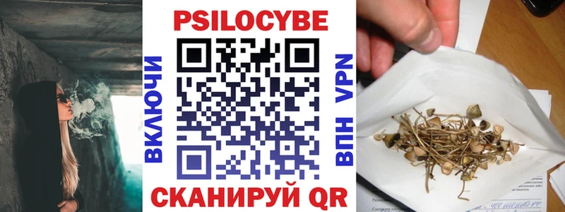 KRAKEN ТОР  Электросталь  Галлюциногенные грибы Psilocybine cubensis  сколько стоит 