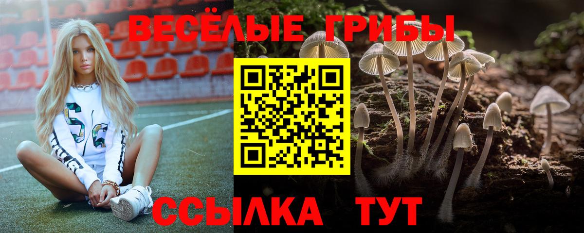 Электросталь  Вход с VPN  МАРИХУАНА  A-PVP СОЛЬ кристаллы  ЭКСТАЗИ  MDMA  COCAIN  Купить закладку  Меф  Меф МЯУ МЯУ  