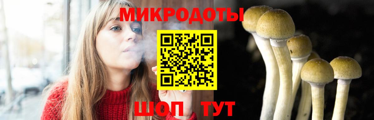 Галлюциногенные грибы мухоморы Электросталь
